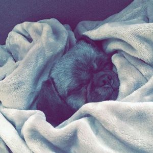 Meet your Posher, Katelyn